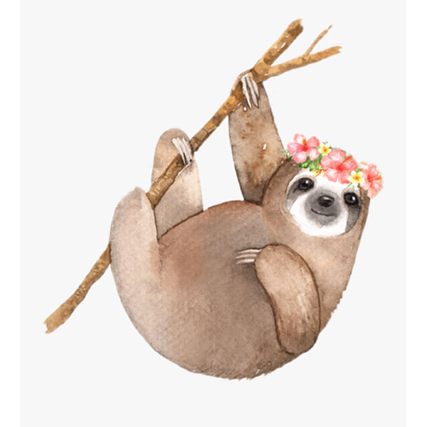 Sloth